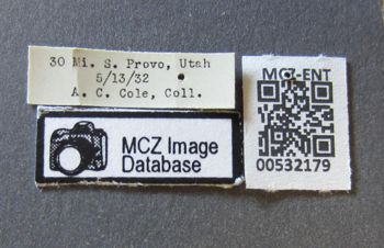 Media type: image;   Entomology 532179 Aspect: labels